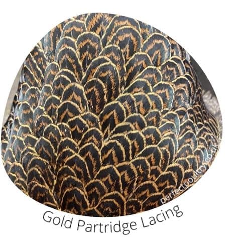Gold Partridge Lacing